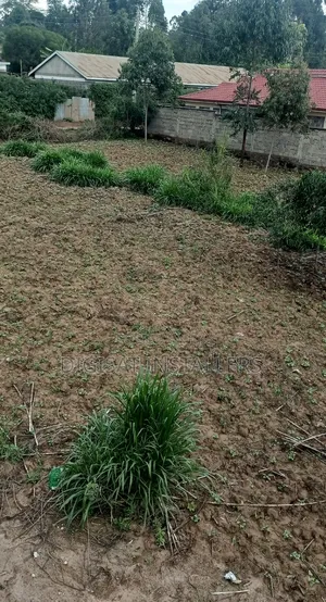 Plot 50*100 on Sale in Ndacha, Nachu Ward, Lussigetti, Kikuyu, Kiambu