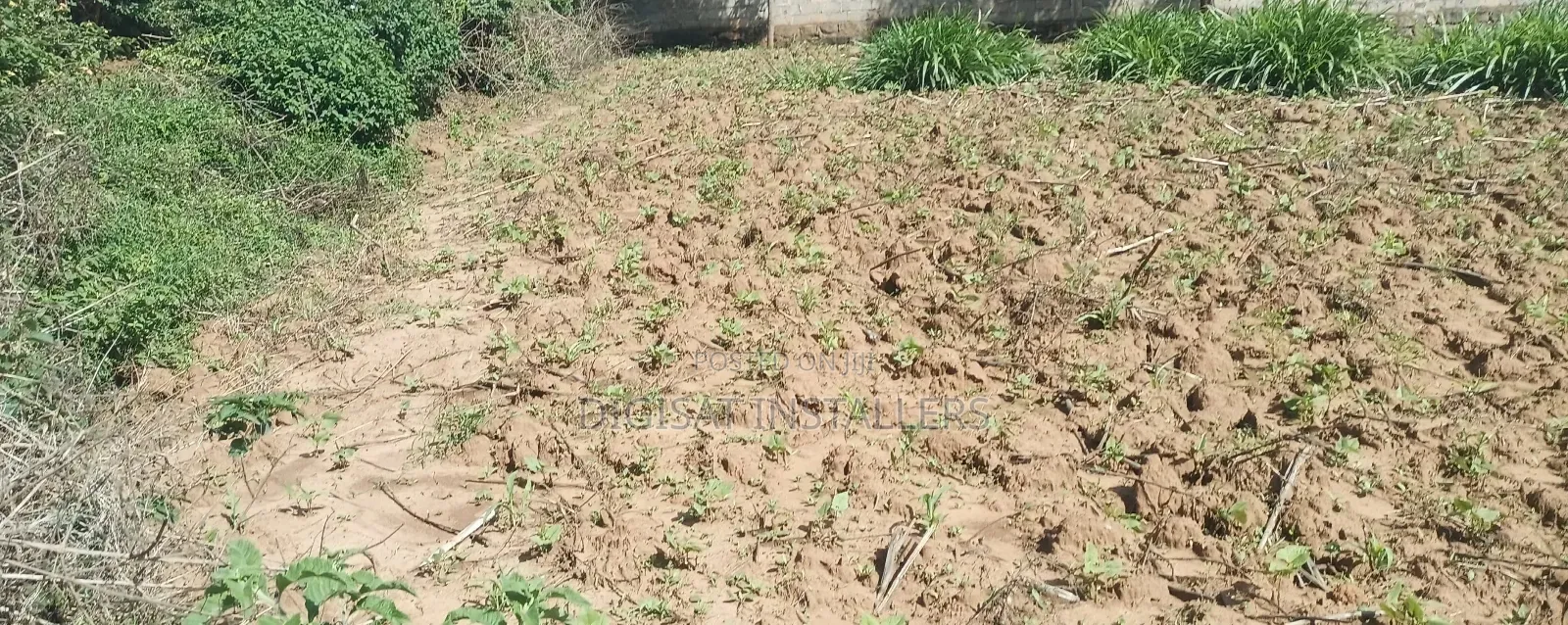 Plot 50*100 on Sale in Ndacha, Nachu Ward, Lussigetti, Kikuyu, Kiambu