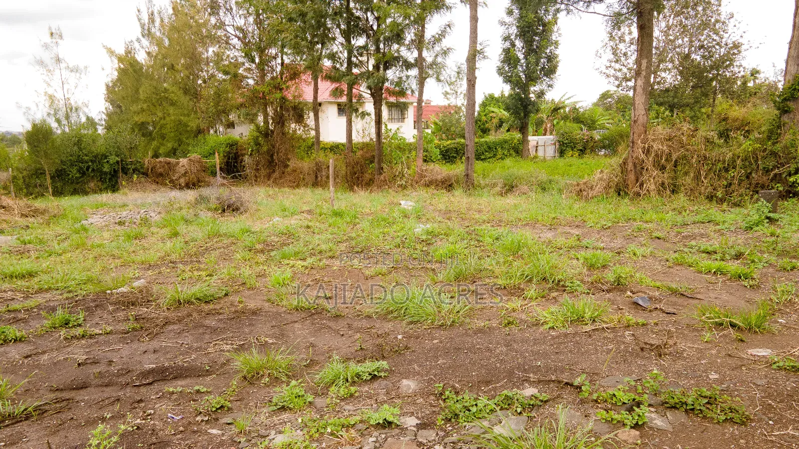 0.065ha Rimpa Estate at 7m