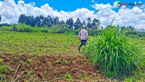 Kikuyu Plots for Sale - main view