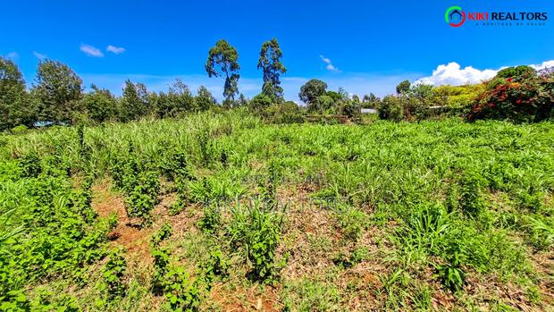 Kikuyu Plots for Sale - thumbnail 6