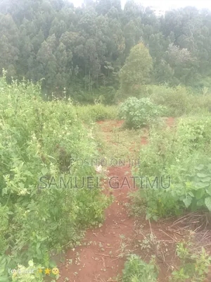 Njoro Ngewa Road 50/100 Plot for Sale