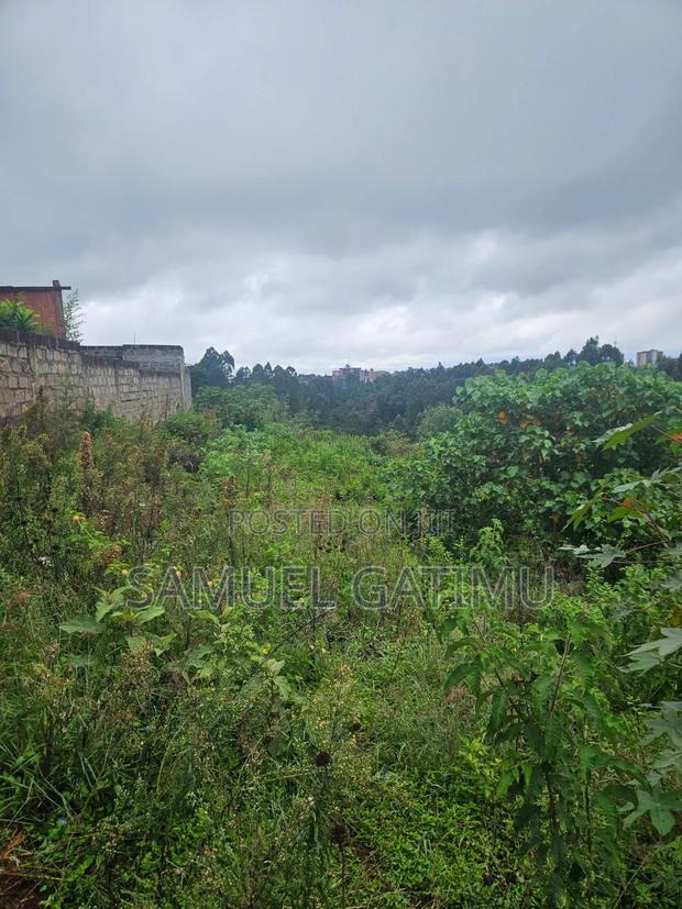 Njoro Ngewa Road 50/100 Plot for Sale - thumbnail 4