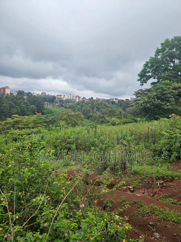 Njoro Ngewa Road 50/100 Plot for Sale - thumbnail 5