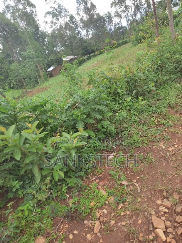 Land for Sale - thumbnail 2