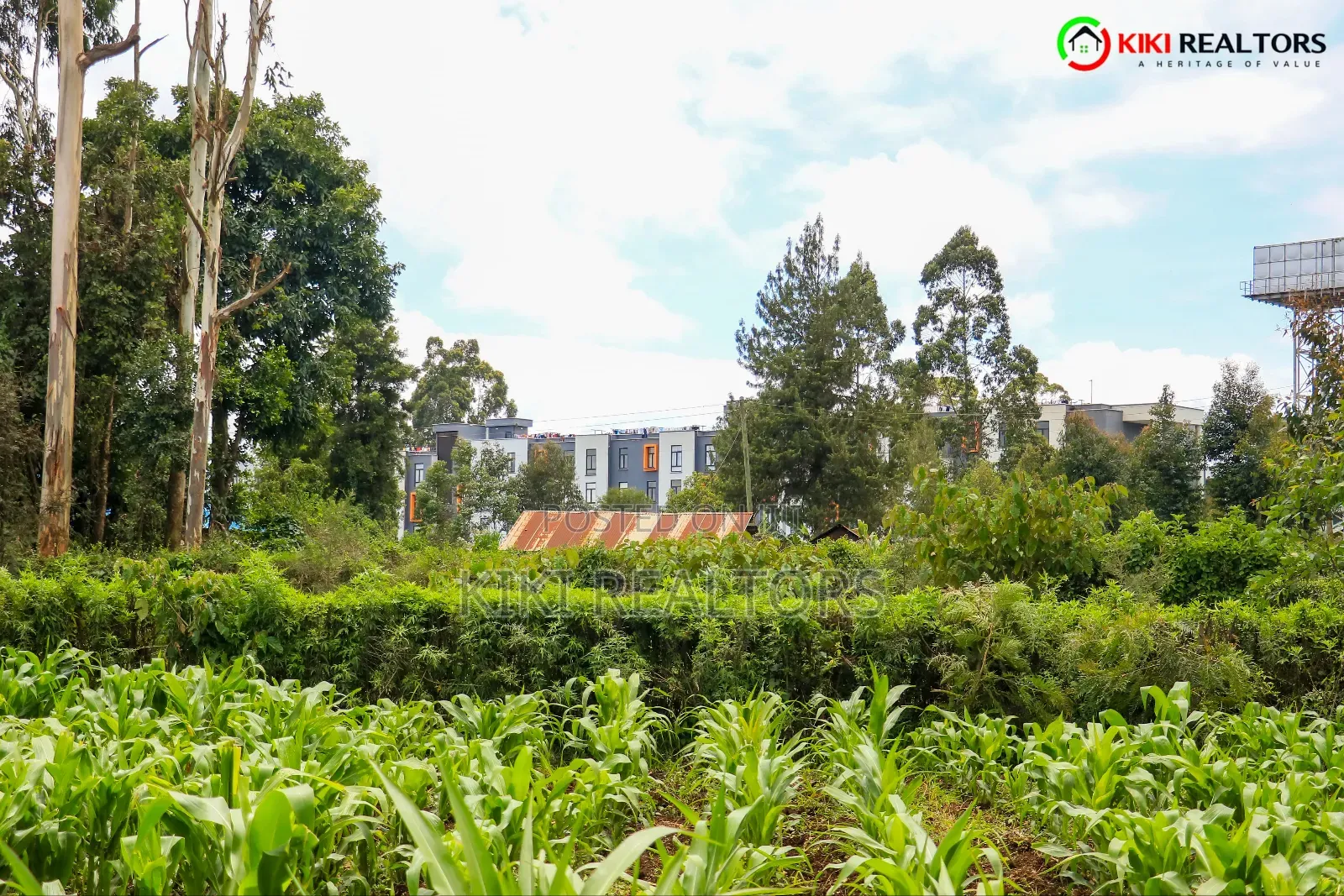 Kikuyu Plot for Sale in Tilisi