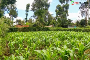 Kikuyu Plot for Sale in Tilisi