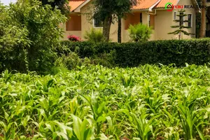 Kikuyu Plot for Sale in Tilisi