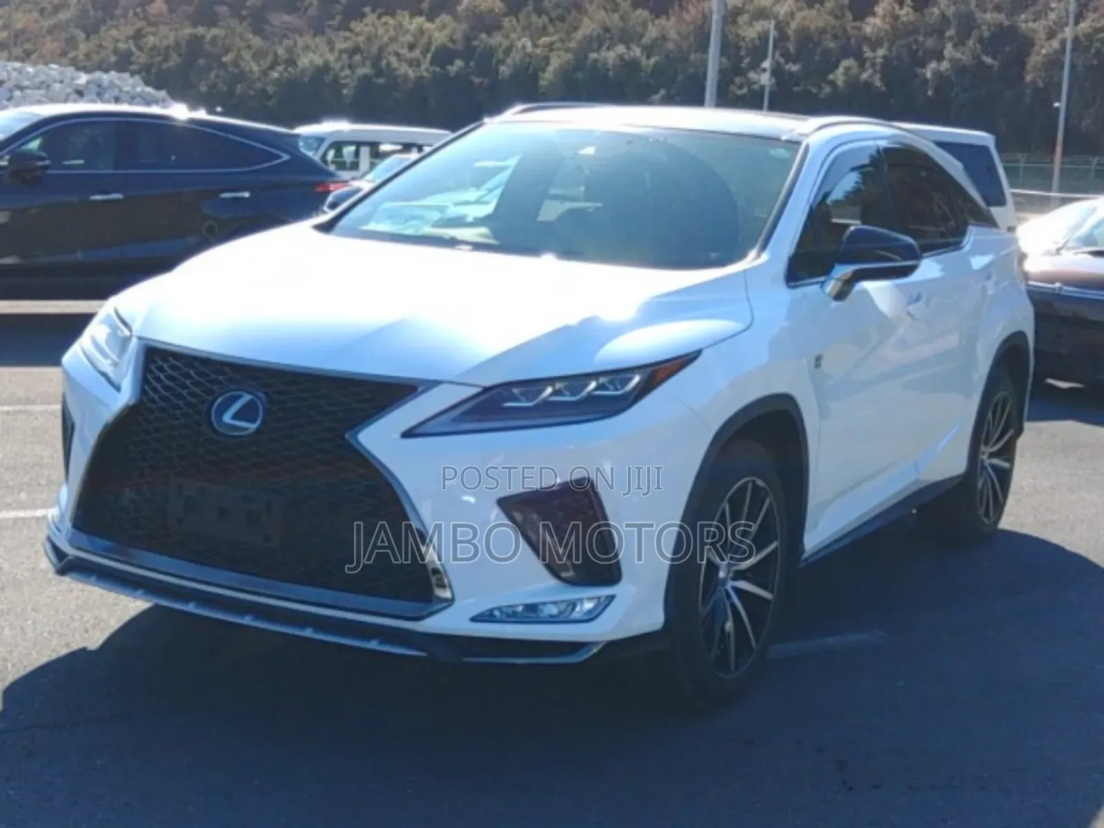 Lexus RX 300 4WD 2020 White