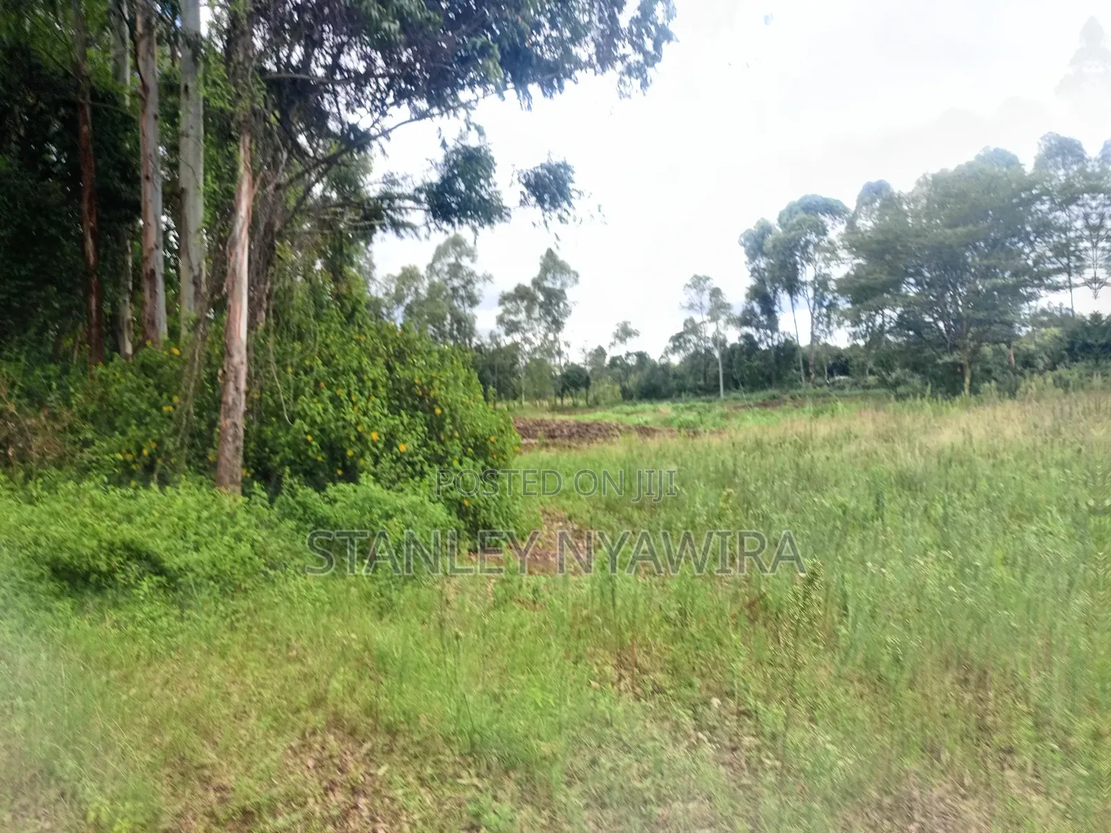 2 Acres and 1 Acreas on Sale