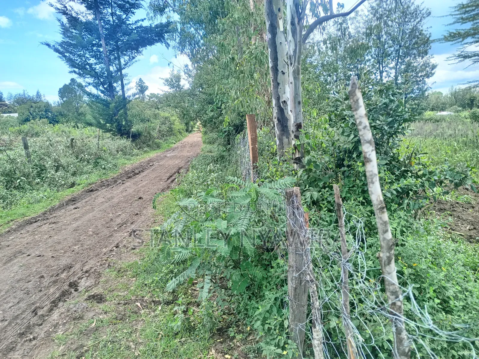 2 Acres and 1 Acreas on Sale
