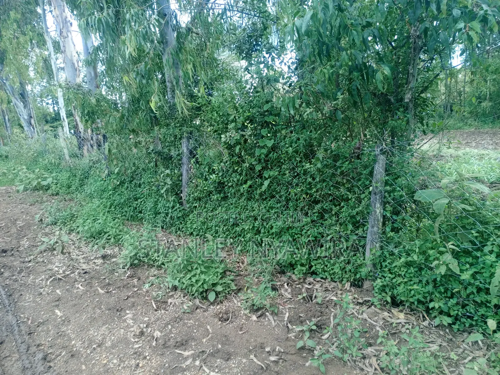 2 Acres and 1 Acreas on Sale