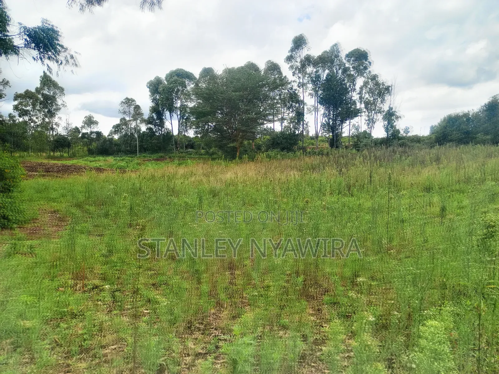 2 Acres and 1 Acreas on Sale