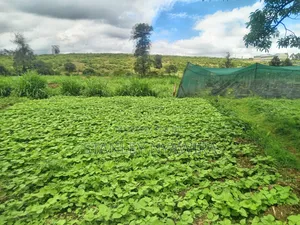 2 Prime Acrea Nanyuki