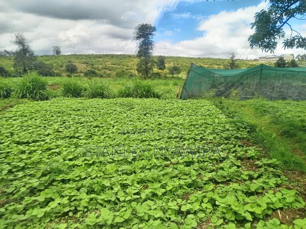 2 Prime Acrea Nanyuki - thumbnail 3