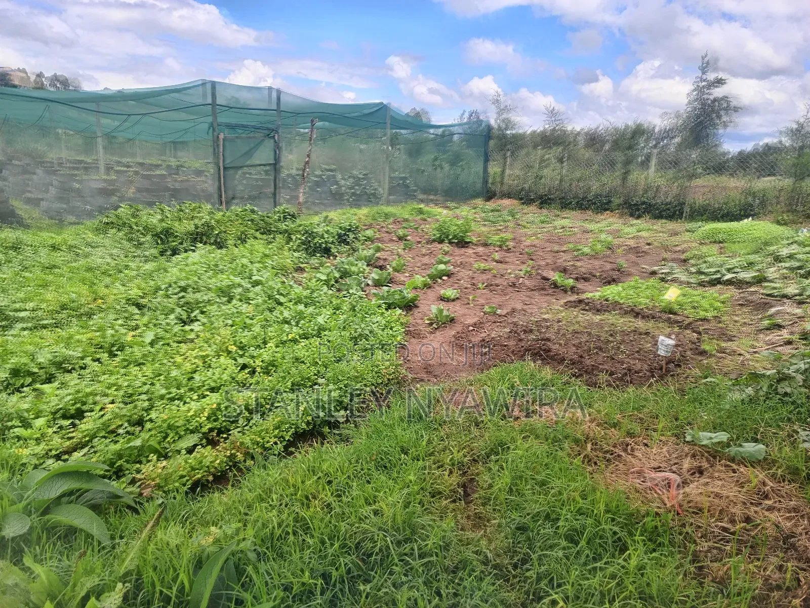 2 Prime Acrea Nanyuki