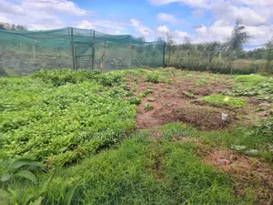 2 Prime Acrea Nanyuki