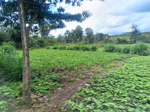 2 Prime Acrea Nanyuki - thumbnail 6