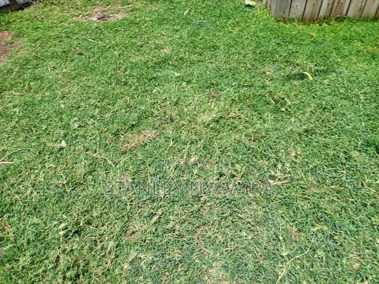 2 Prime Acrea Nanyuki