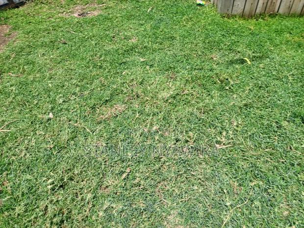 2 Prime Acrea Nanyuki - thumbnail 10