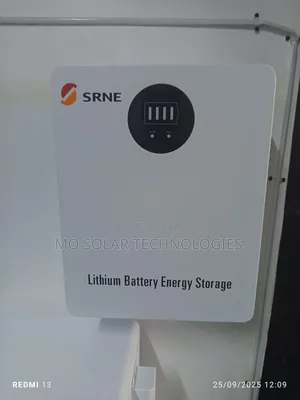 2.5kwh 24v 100ah Srne Lifepo4 Lithium Battery