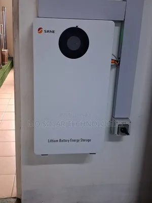 5kwh 48v Srne Lifepo4 Lithium Battery