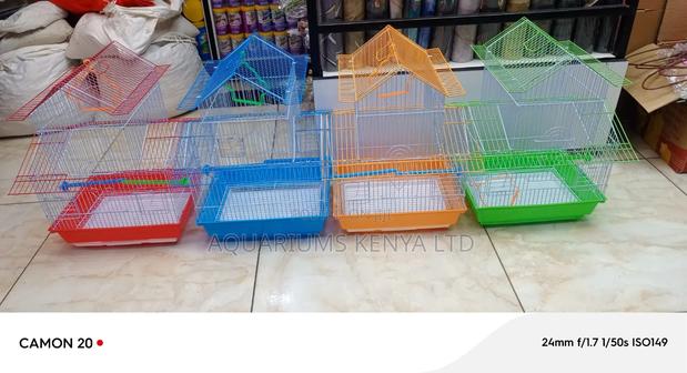 Red Blue Orange and Green Bird Cage - main view
