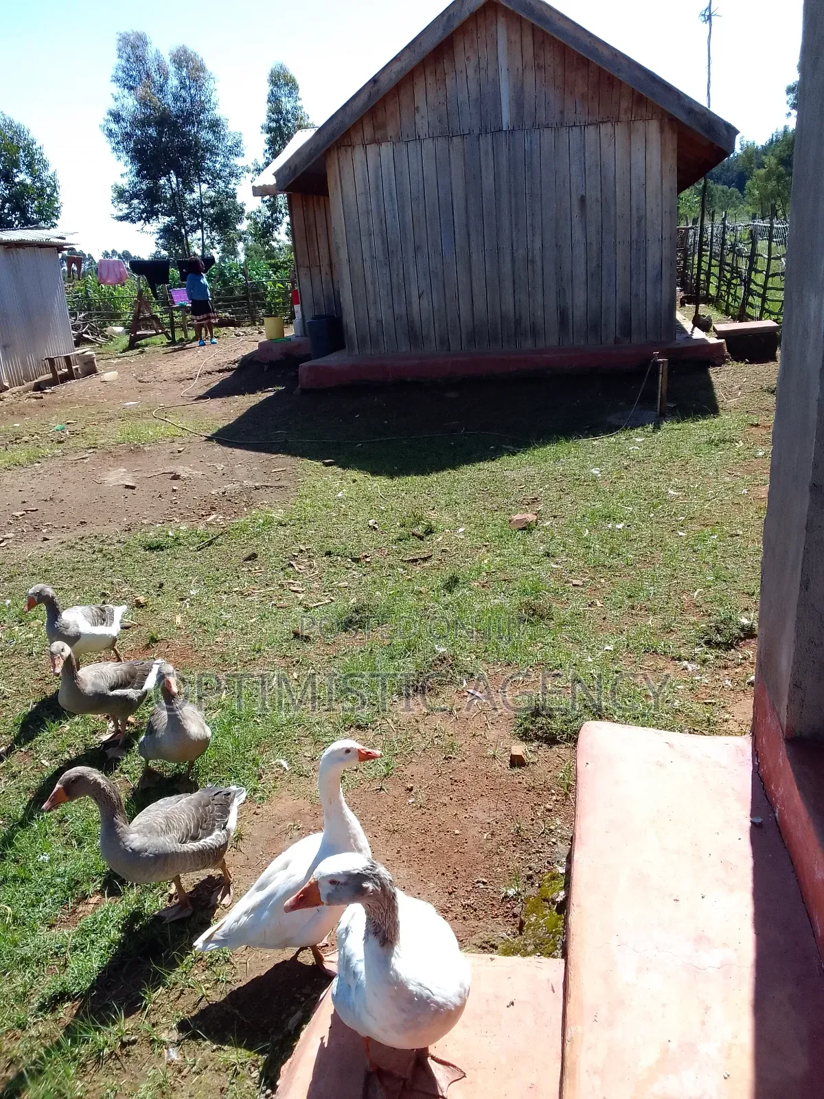 Quick Sale 2 Bedrooms Semipermanent House on Sale