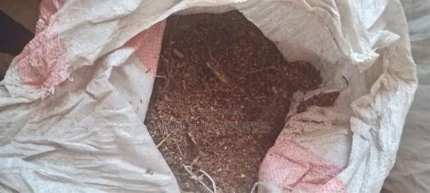Sudan Grass Seeds - thumbnail 2