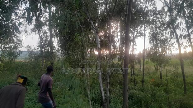Land for Sale - thumbnail 2