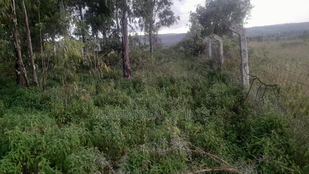 Land for Sale - thumbnail 3