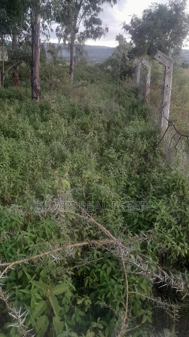 Land for Sale - thumbnail 4