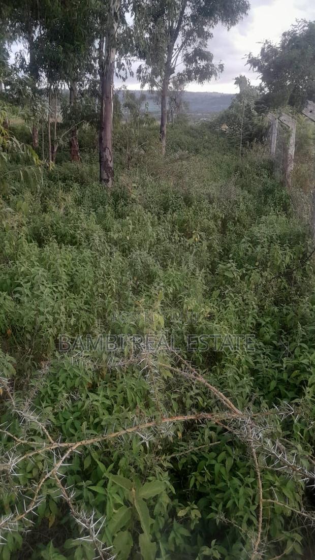 Land for Sale - thumbnail 5