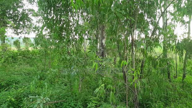 Land for Sale - thumbnail 6