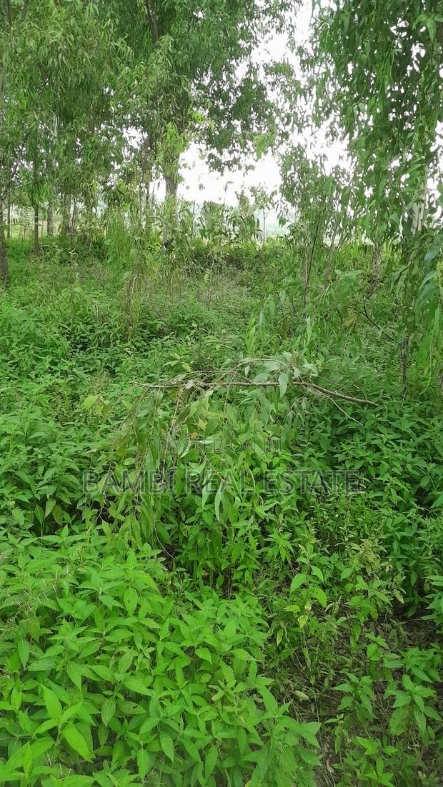 Land for Sale - thumbnail 7