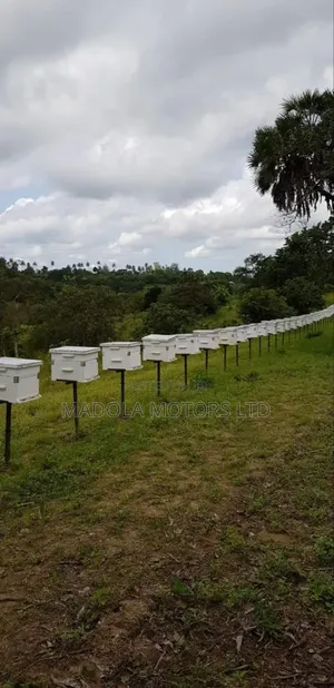 Fertile Farm for Sale in Shimba Hills