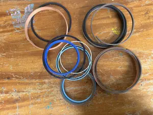 Hydraulic Cylinder Seal Kit – High-Quality Oil Seals O-Rings