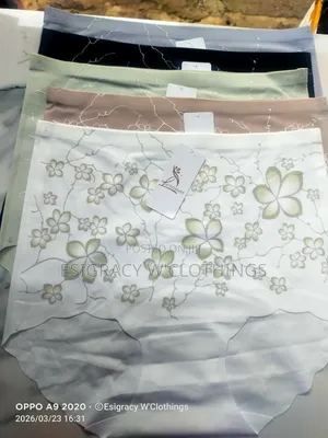Seamless Silky Ladies Underwear/Pants