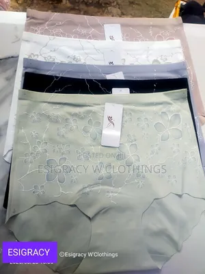 Seamless Silky Ladies Underwear/Pants