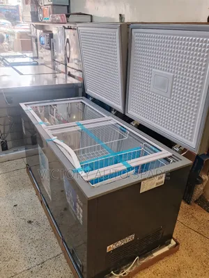 Roch 500litres Double Door Freezer