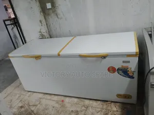 Ramtons 600litrs Deep Freezer