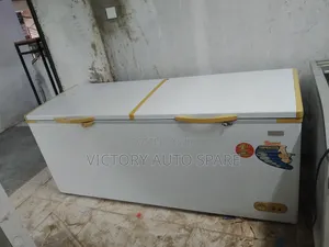 Ramtons 600litrs Deep Freezer