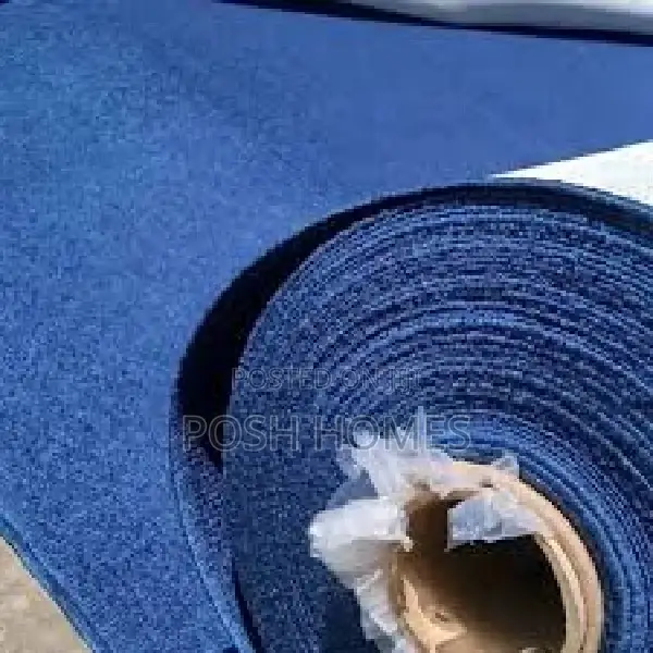 Total Coverage Blue Wall to Wall Carpets