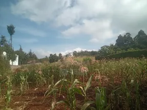 Kikuyu, Muguga 1/4 Acre