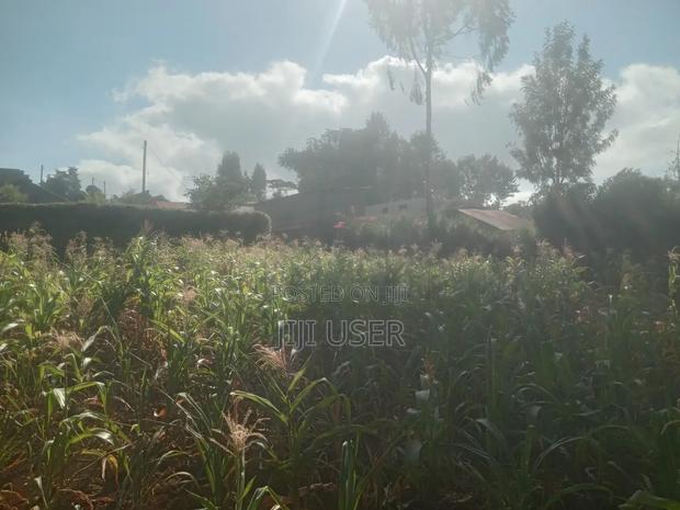 Kikuyu, Muguga 1/4 Acre - thumbnail 2