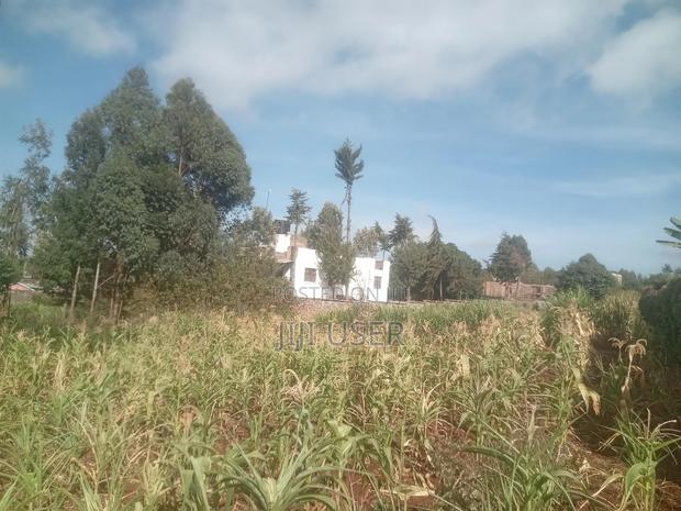 Kikuyu, Muguga 1/4 Acre - thumbnail 4