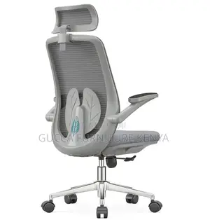 Ergonomic Executive Mesh Computer Chair