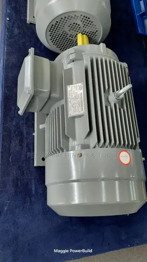 Heavy-Duty STCL Italy 160l-4 20hp Three Phase 1450rpm Electric Motor