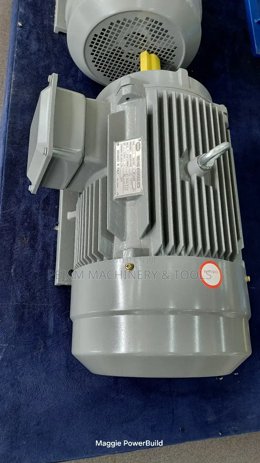 Heavy-Duty STCL Italy 160l-4 20hp Three Phase 1450rpm Electric Motor