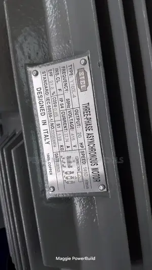 Heavy-Duty STCL Italy 160l-4 20hp Three Phase 1450rpm Electric Motor